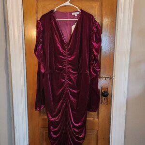 NWT Pink Velvet Dress